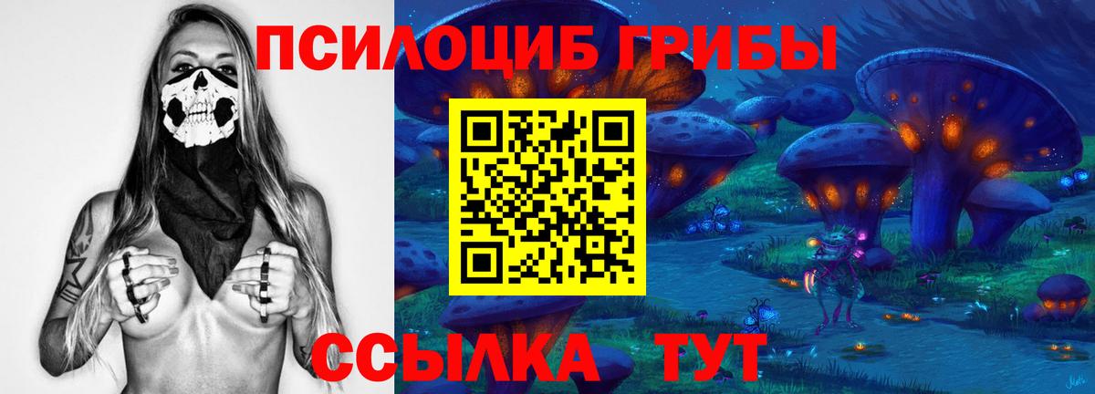 Псилоцибиновые грибы мицелий Губаха