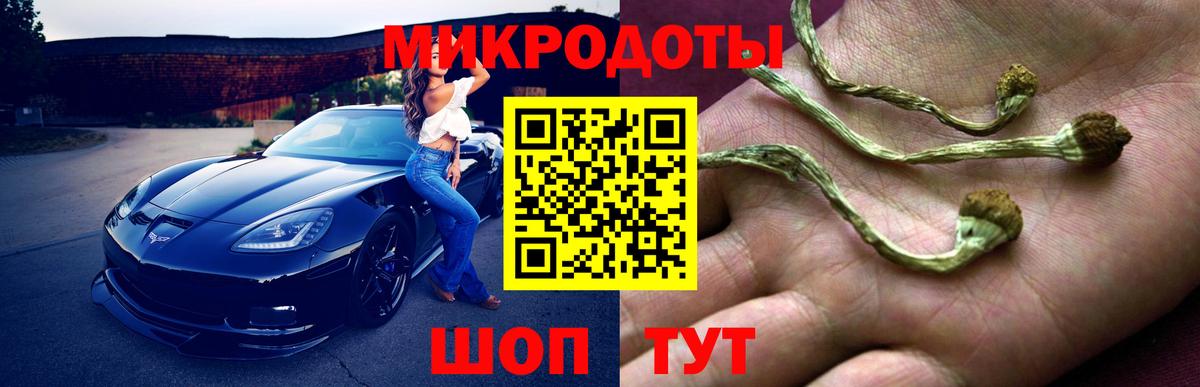 Псилоцибиновые грибы MAGIC MUSHROOMS  Псилоцибиновые грибы мицелий  Вход с VPN  Губаха 